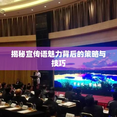 揭秘宣传语魅力背后的策略与技巧