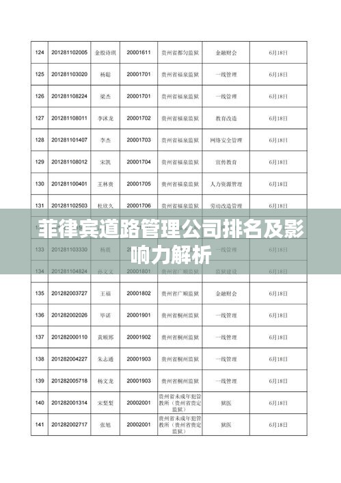 菲律宾道路管理公司排名及影响力解析