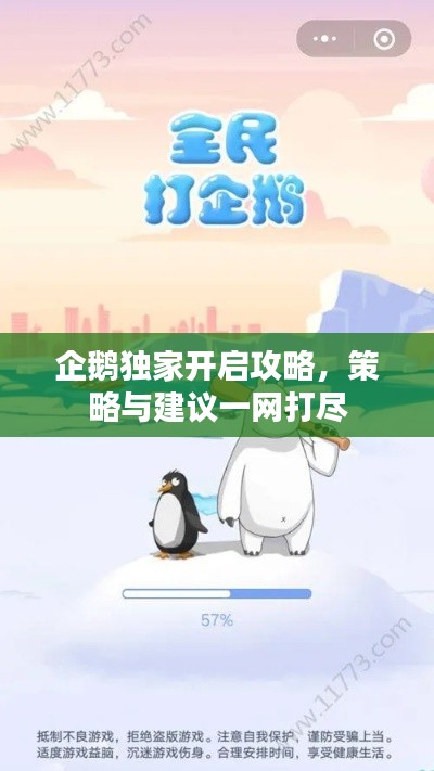 企鹅独家开启攻略，策略与建议一网打尽