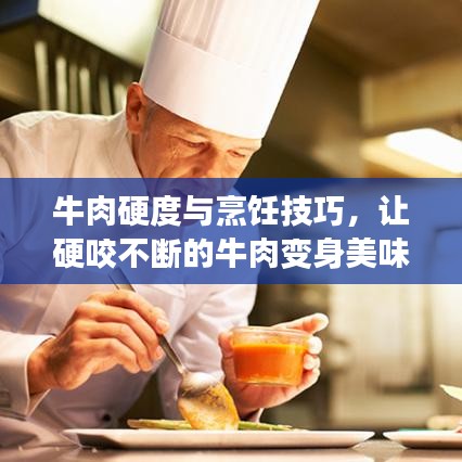 牛肉硬度与烹饪技巧，让硬咬不断的牛肉变身美味佳肴