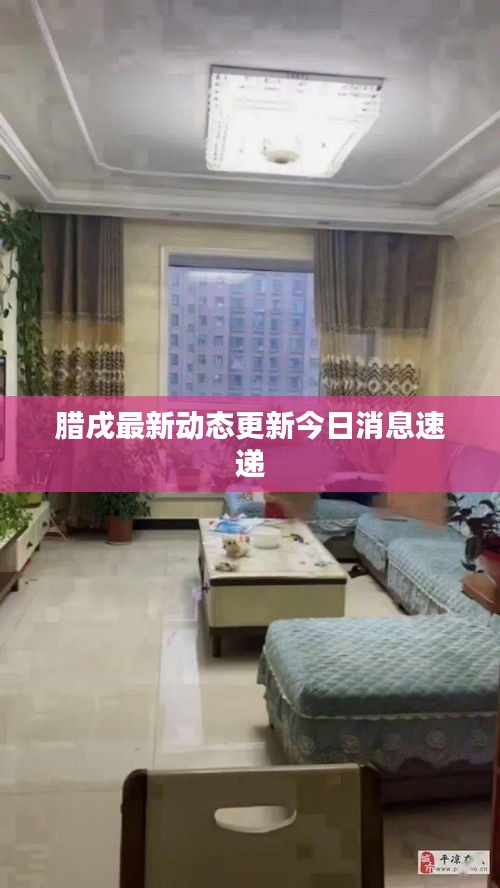 腊戌最新动态更新今日消息速递