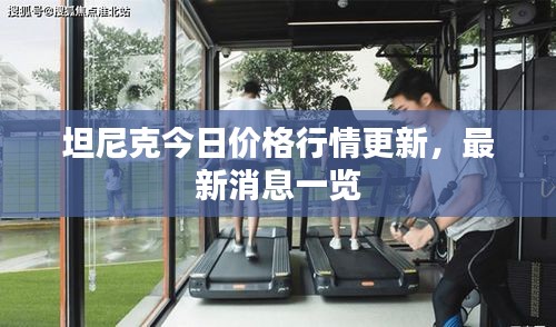 坦尼克今日价格行情更新，最新消息一览