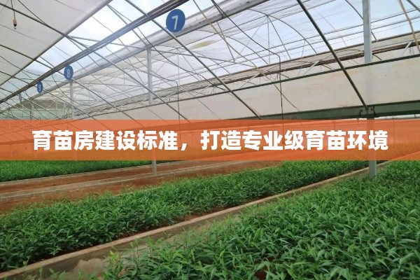 育苗房建设标准，打造专业级育苗环境