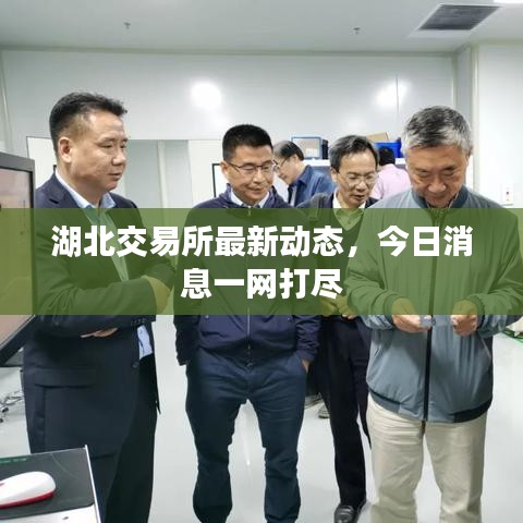 湖北交易所最新动态，今日消息一网打尽
