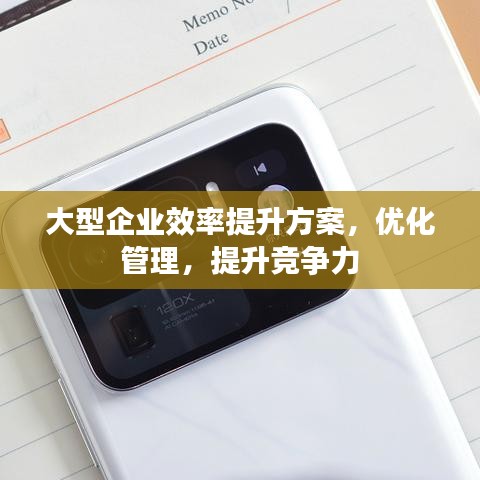 大型企业效率提升方案，优化管理，提升竞争力
