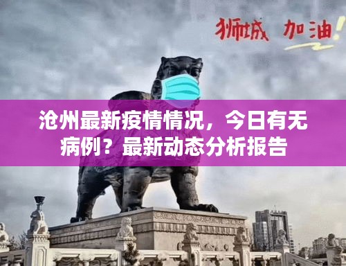 沧州最新疫情情况，今日有无病例？最新动态分析报告