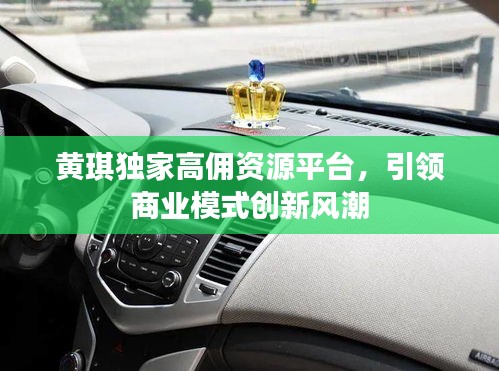 黄琪独家高佣资源平台，引领商业模式创新风潮