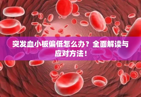 突发血小板偏低怎么办？全面解读与应对方法！
