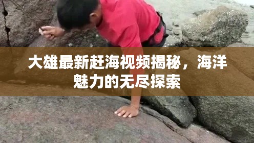 大雄最新赶海视频揭秘，海洋魅力的无尽探索