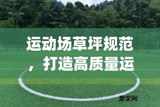 运动场草坪规范，打造高质量运动环境的核心要素