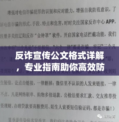 反诈宣传公文格式详解，专业指南助你高效防范诈骗风险！