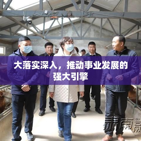 大落实深入，推动事业发展的强大引擎