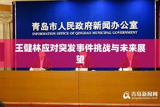 王健林应对突发事件挑战与未来展望