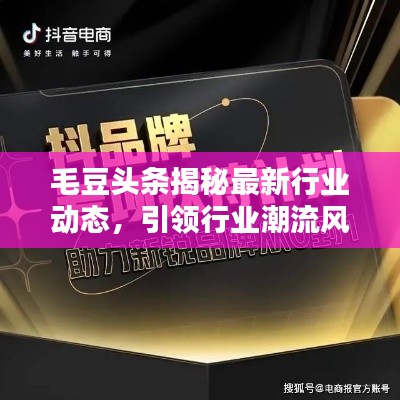 毛豆头条揭秘最新行业动态，引领行业潮流风向标