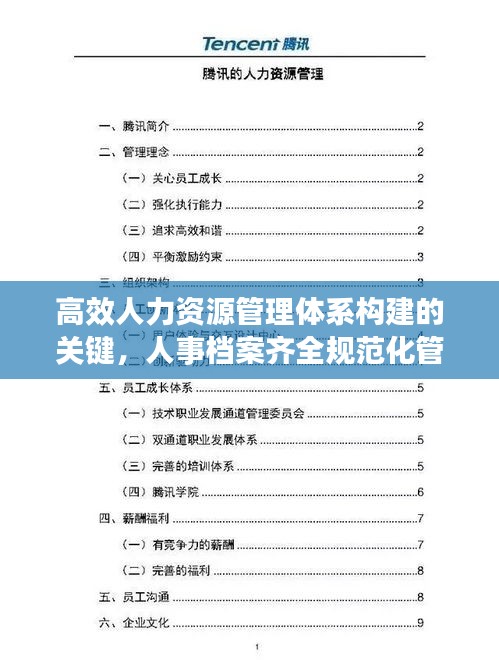高效人力资源管理体系构建的关键，人事档案齐全规范化管理
