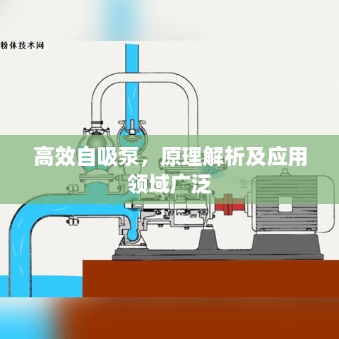 高效自吸泵，原理解析及应用领域广泛