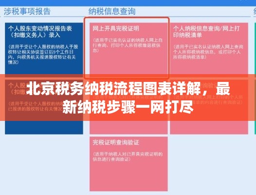 北京税务纳税流程图表详解，最新纳税步骤一网打尽