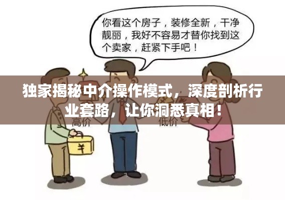 独家揭秘中介操作模式，深度剖析行业套路，让你洞悉真相！