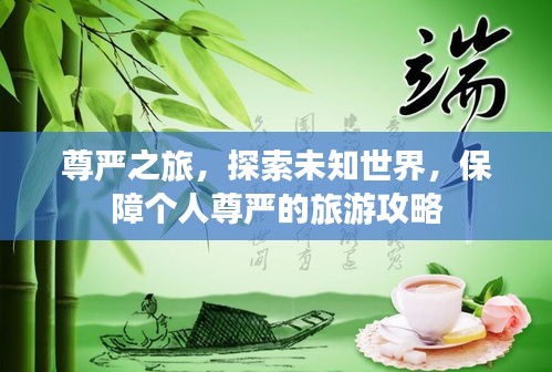 尊严之旅，探索未知世界，保障个人尊严的旅游攻略