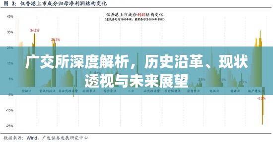 广交所深度解析，历史沿革、现状透视与未来展望