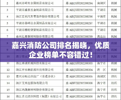 嘉兴消防公司排名揭晓，优质企业榜单不容错过！