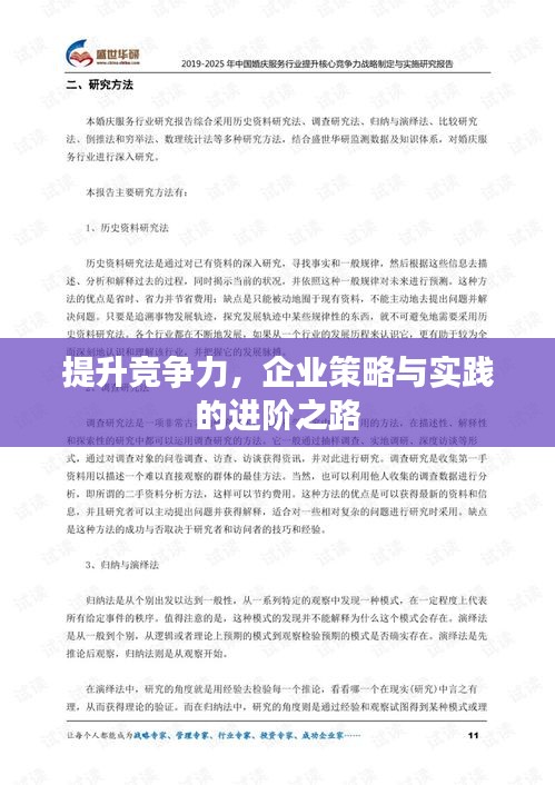 提升竞争力，企业策略与实践的进阶之路