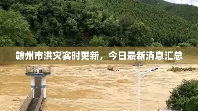 赣州市洪灾实时更新，今日最新消息汇总