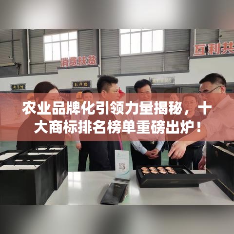 农业品牌化引领力量揭秘，十大商标排名榜单重磅出炉！