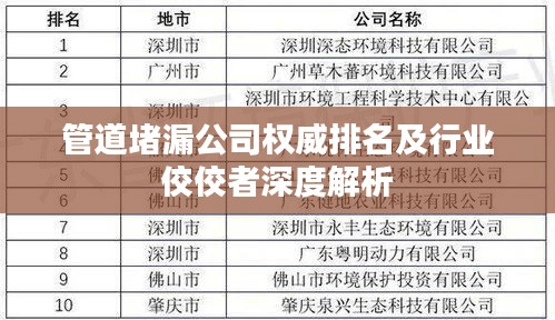管道堵漏公司权威排名及行业佼佼者深度解析