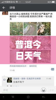 普洱今日天气与冰雹最新动态报告