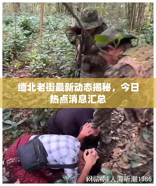 缅北老街最新动态揭秘，今日热点消息汇总