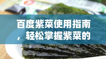百度紫菜使用指南，轻松掌握紫菜的多种用法