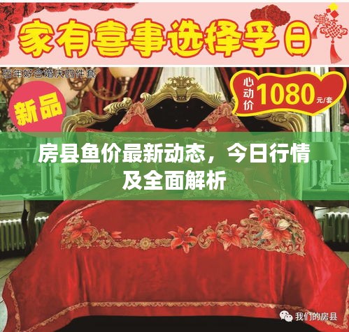 房县鱼价最新动态，今日行情及全面解析