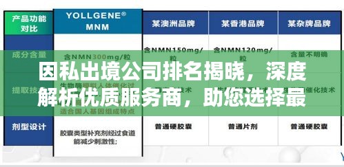 因私出境公司排名揭晓，深度解析优质服务商，助您选择最佳服务提供者！