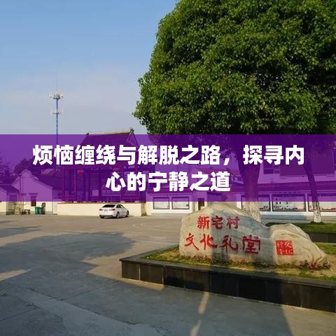 烦恼缠绕与解脱之路，探寻内心的宁静之道