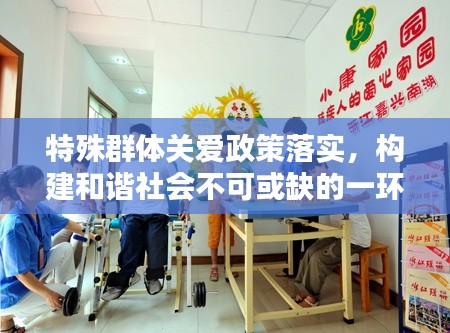 特殊群体关爱政策落实，构建和谐社会不可或缺的一环