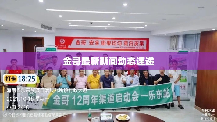 金哥最新新闻动态速递
