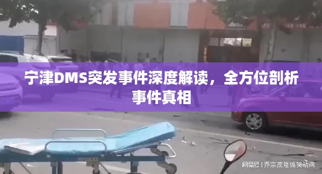 宁津DMS突发事件深度解读，全方位剖析事件真相