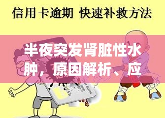 半夜突发肾脏性水肿，原因解析、应对方法与预防措施