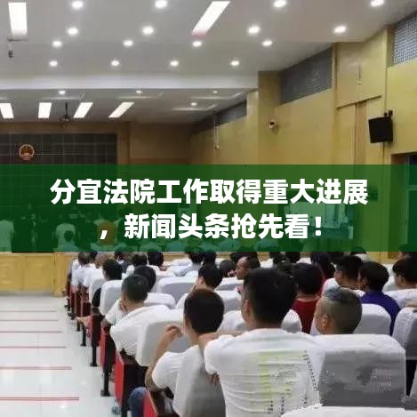 分宜法院工作取得重大进展，新闻头条抢先看！
