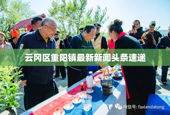 云冈区重阳镇最新新闻头条速递