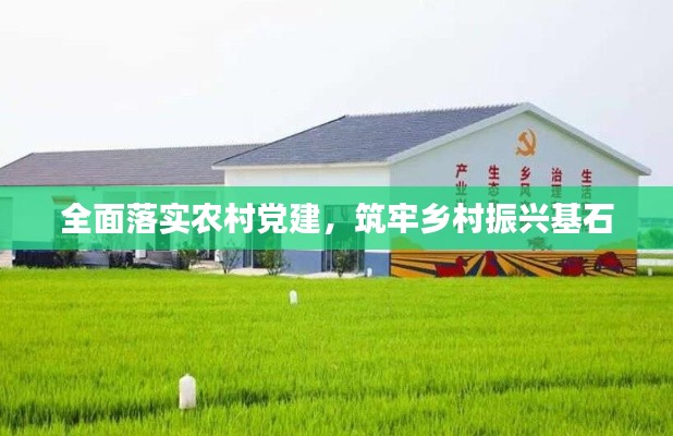 全面落实农村党建，筑牢乡村振兴基石