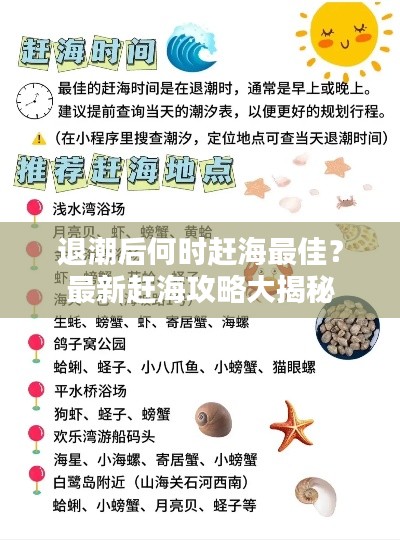 退潮后何时赶海最佳？最新赶海攻略大揭秘