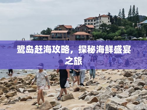 鹭岛赶海攻略，探秘海鲜盛宴之旅