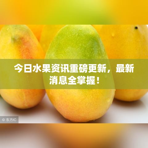 今日水果资讯重磅更新，最新消息全掌握！