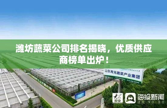潍坊蔬菜公司排名揭晓，优质供应商榜单出炉！