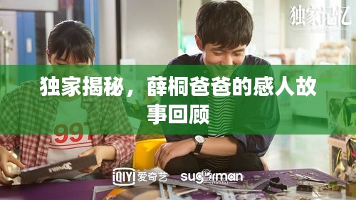 独家揭秘，薛桐爸爸的感人故事回顾
