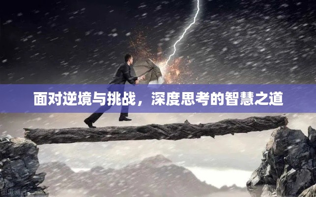 面对逆境与挑战，深度思考的智慧之道