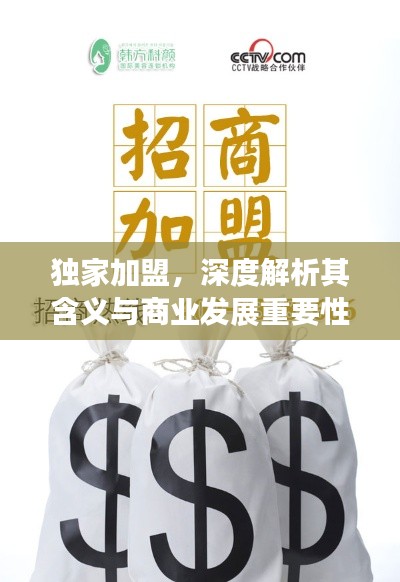 独家加盟，深度解析其含义与商业发展重要性