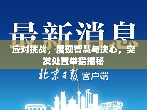 应对挑战，展现智慧与决心，突发处置举措揭秘